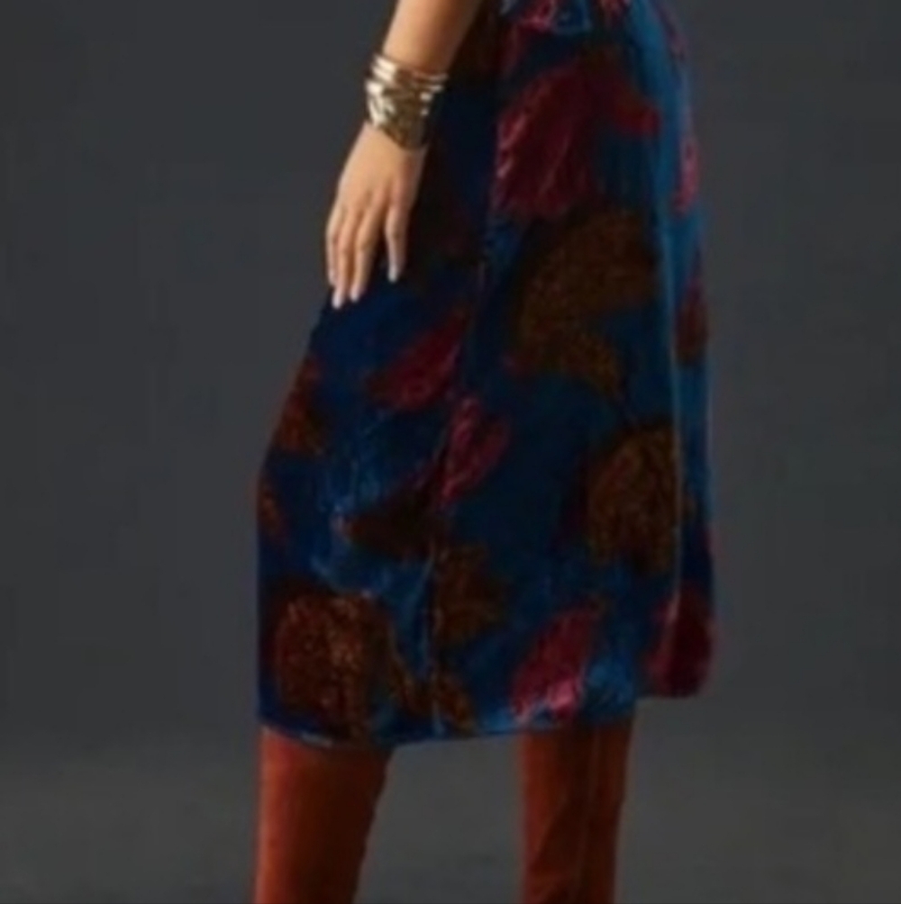 Farm Rio Multicolor Velvet Dress - Picture 3 of 3